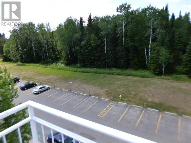 204 500 Toledo St, Thunder Bay, Ontario  P7A 8A6 - Photo 31 - TB253151