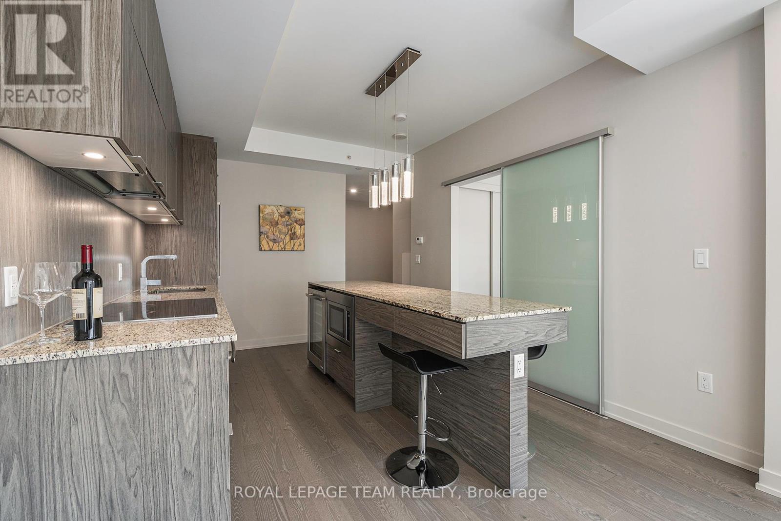 1509 - 101 Queen Street, Ottawa, Ontario  K1P 0B7 - Photo 5 - X12450945