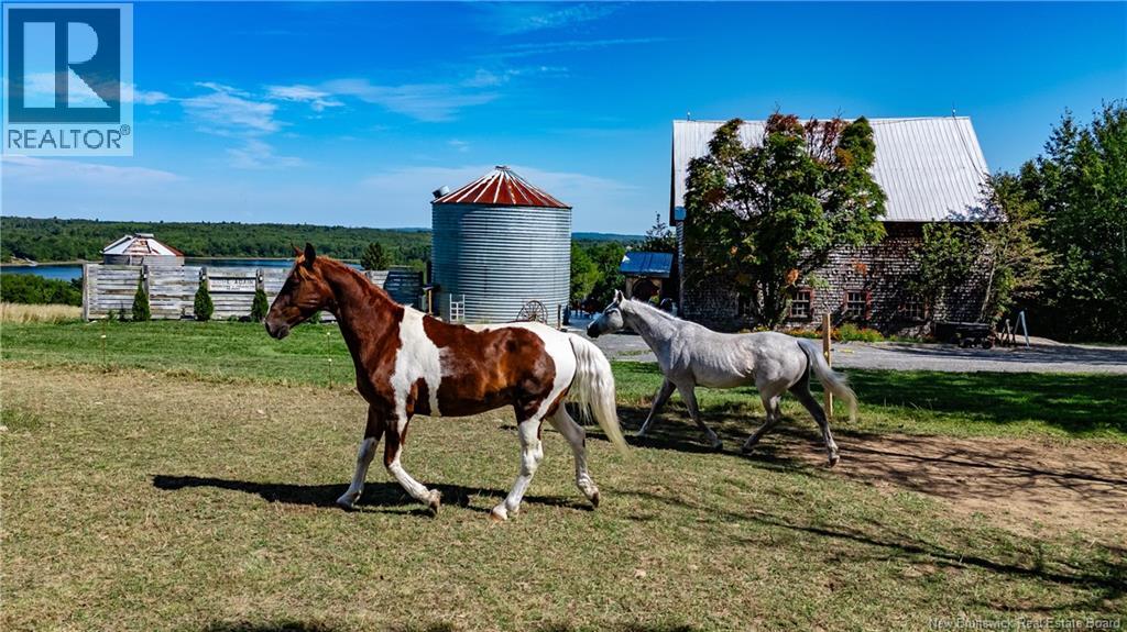 4485 Rte 102, Queenstown, New Brunswick  E5M 1Z5 - Photo 38 - NB126058