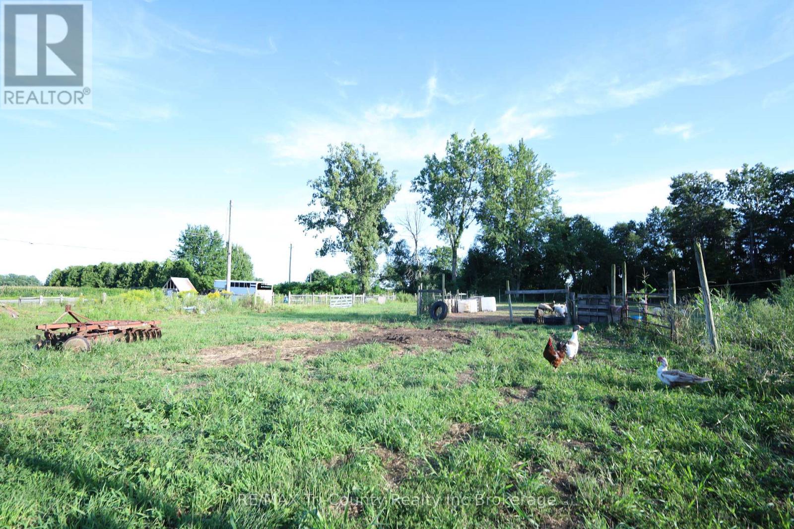 853 Norfolk County 28 Road, Norfolk, Ontario  N0E 1G0 - Photo 9 - X12357385