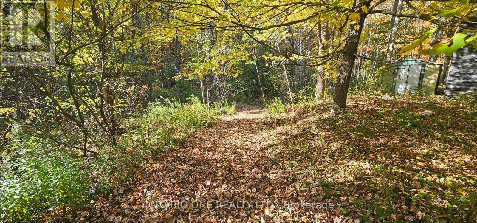 1479 11 Highway S, Gravenhurst, Ontario  P0E 1G0 - Photo 31 - X12451070