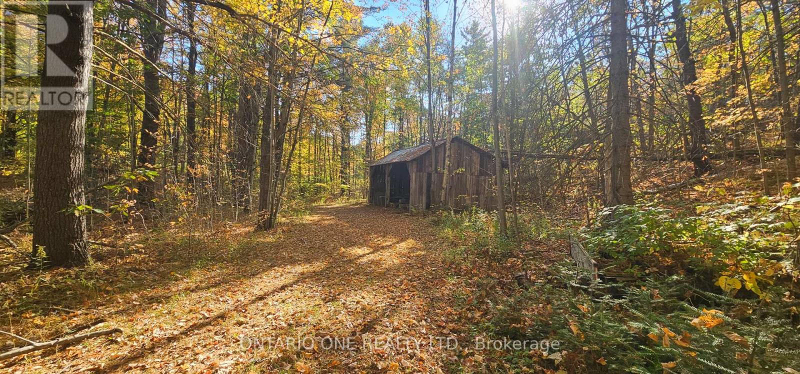1479 11 Highway S, Gravenhurst, Ontario  P0E 1G0 - Photo 34 - X12451070