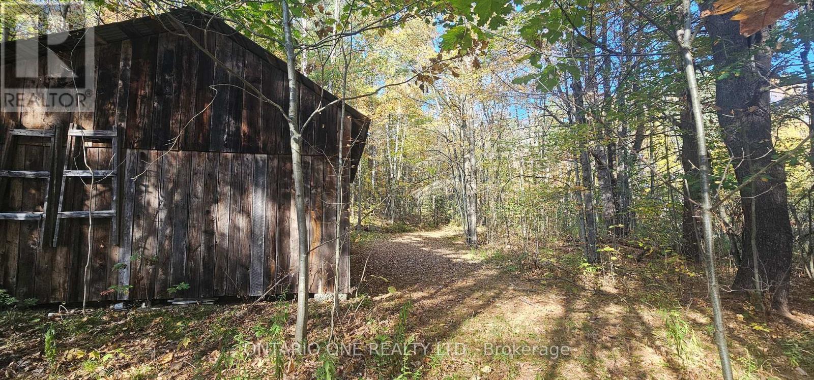 1479 11 Highway S, Gravenhurst, Ontario  P0E 1G0 - Photo 37 - X12451070