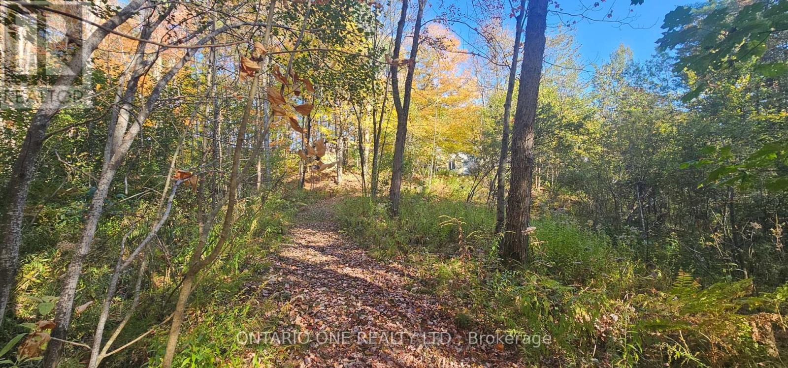 1479 11 Highway S, Gravenhurst, Ontario  P0E 1G0 - Photo 38 - X12451070