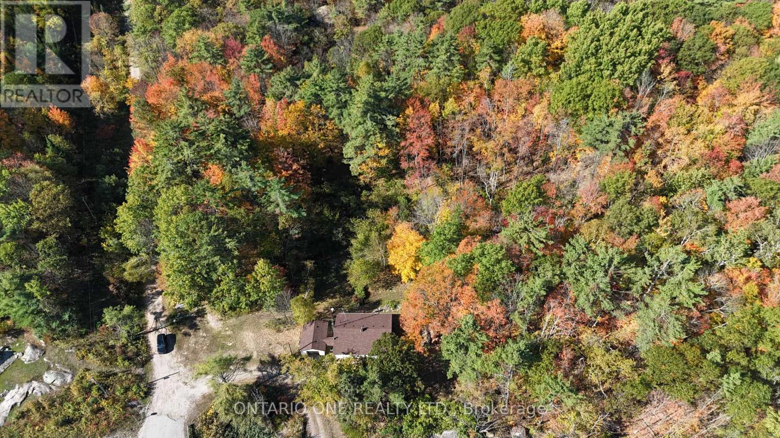 1479 11 Highway S, Gravenhurst, Ontario  P0E 1G0 - Photo 41 - X12451070