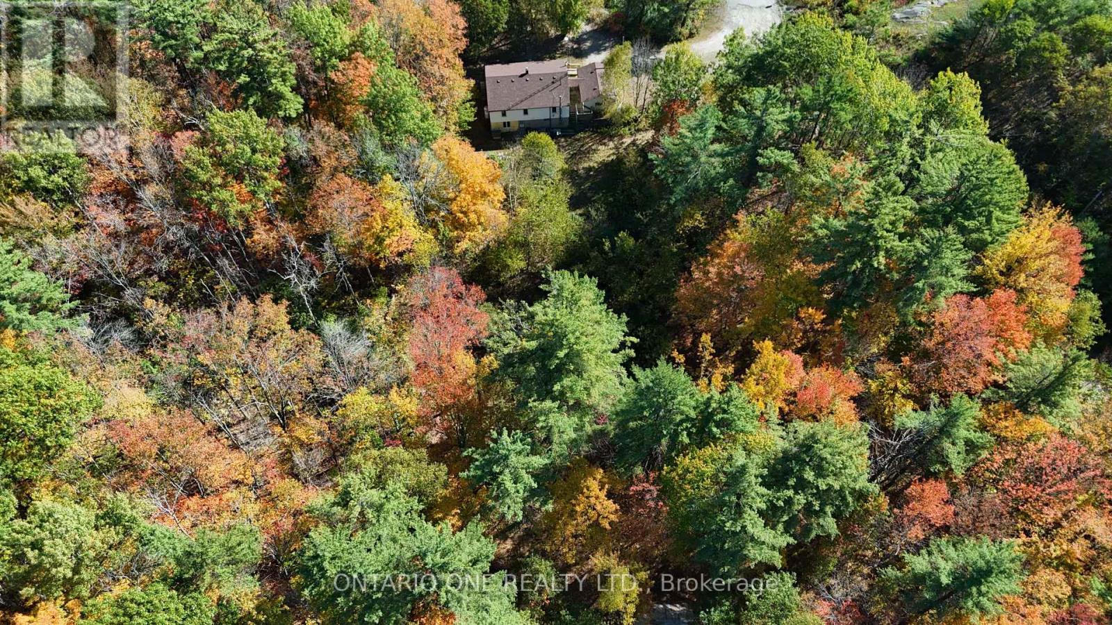 1479 11 Highway S, Gravenhurst, Ontario  P0E 1G0 - Photo 43 - X12451070