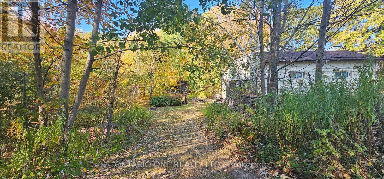 1479 11 Highway S, Gravenhurst, Ontario  P0E 1G0 - Photo 5 - X12451070