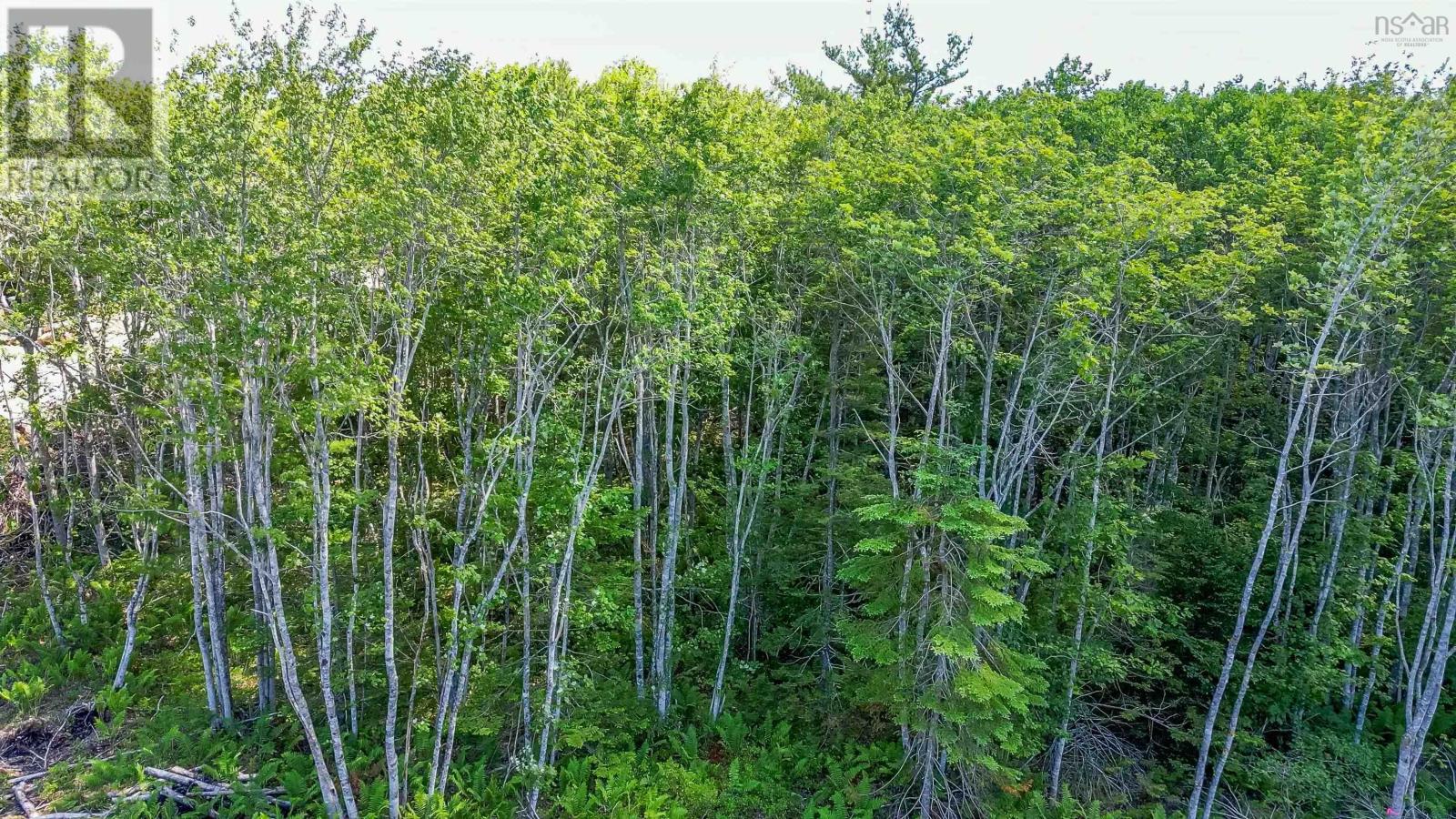 68 Morton Drive, Liverpool, Nova Scotia  B0T 1K0 - Photo 5 - 202416084
