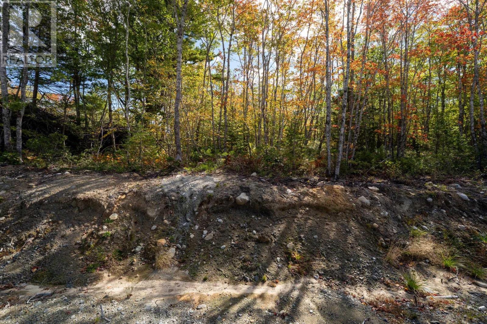 90 Morton Drive, Liverpool, Nova Scotia  B0T 1K0 - Photo 7 - 202416089