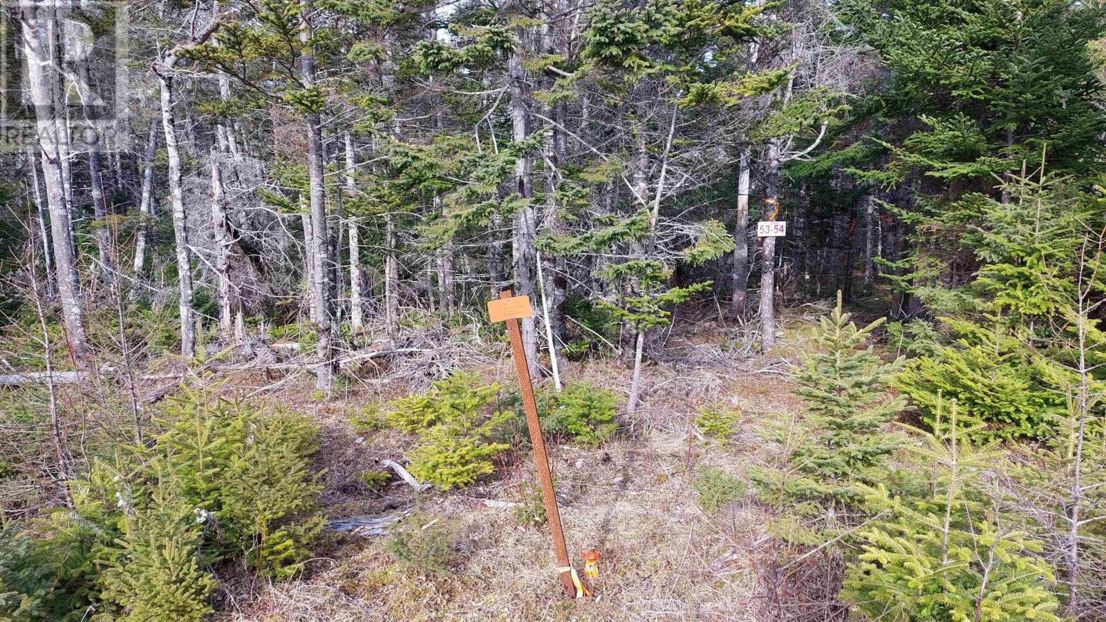 Lot 53 Peter Sosna Dr, Hay Cove, Nova Scotia  B0E 3B0 - Photo 12 - 202508283