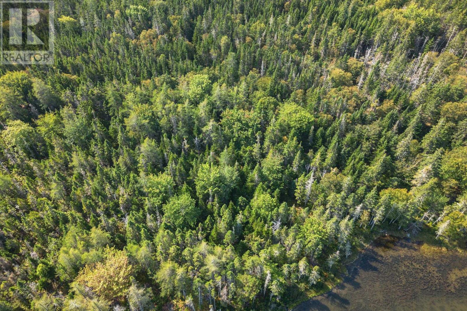 Lot 53 Peter Sosna Dr, Hay Cove, Nova Scotia  B0E 3B0 - Photo 17 - 202508283