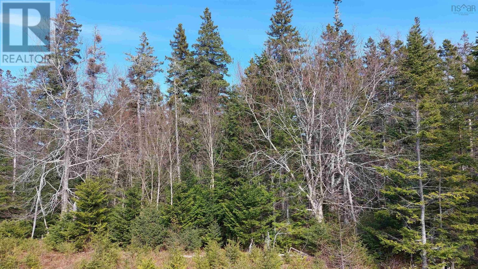 Lot 53 Peter Sosna Dr, Hay Cove, Nova Scotia  B0E 3B0 - Photo 14 - 202508283