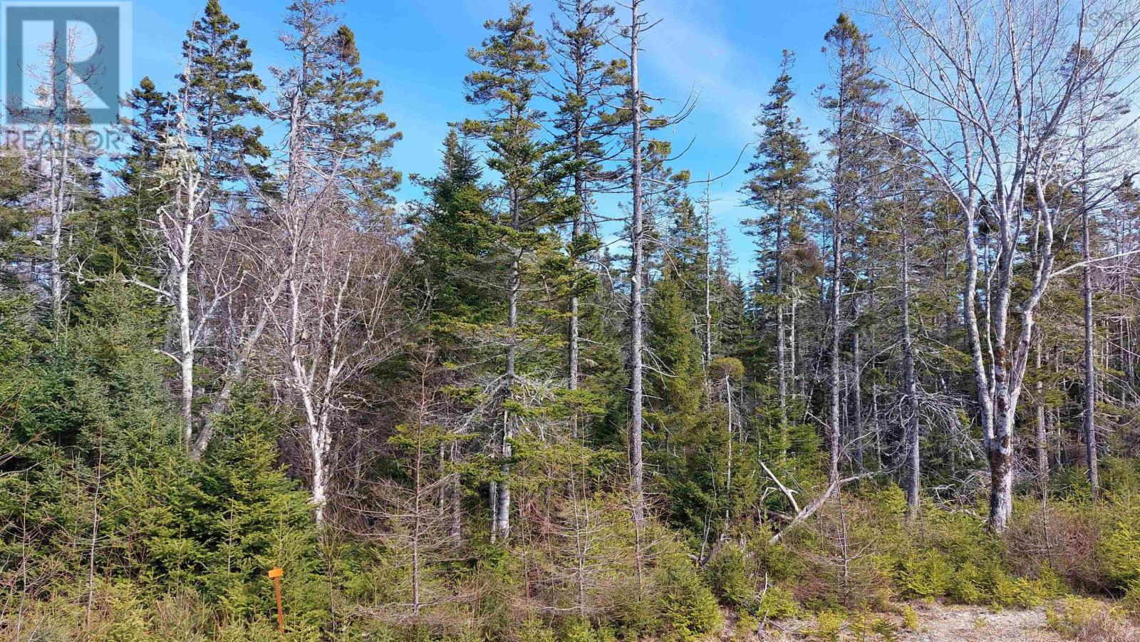 Lot 53 Peter Sosna Dr, Hay Cove, Nova Scotia  B0E 3B0 - Photo 7 - 202508283