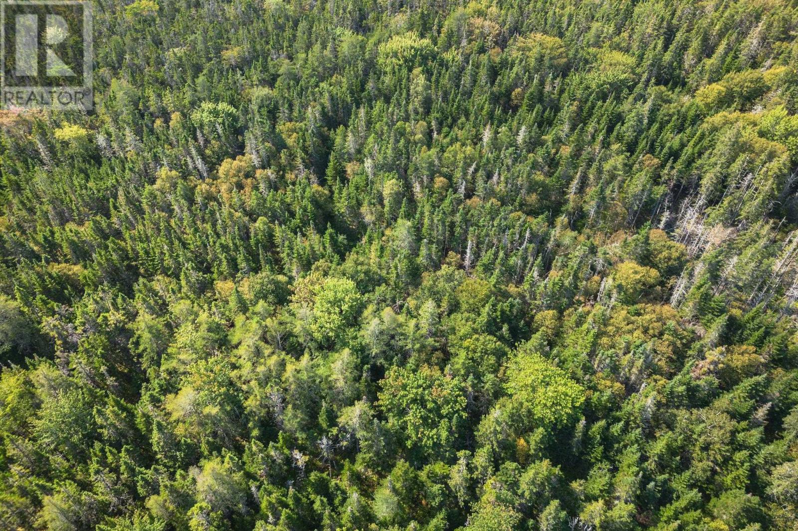 Lot 76 Peter Sosna Dr., Hay Cove, Nova Scotia  B0E 3B0 - Photo 11 - 202511417