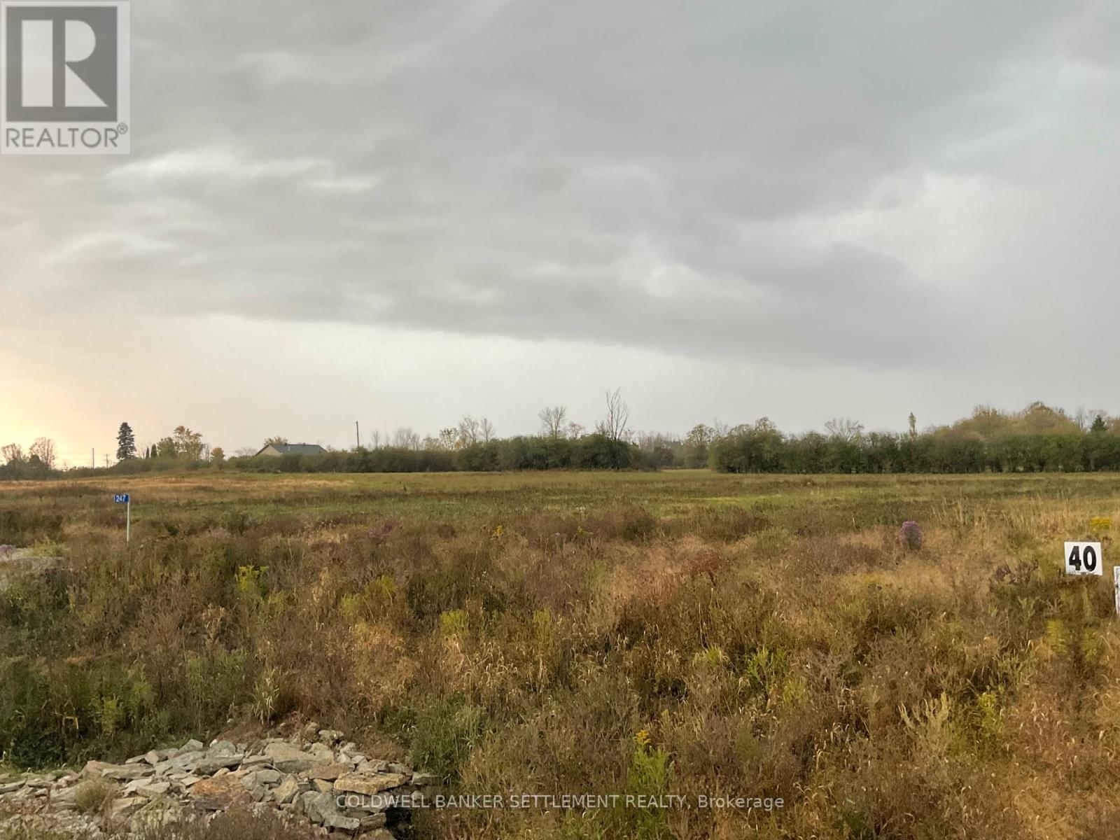 247 Archie Crain Drive, Drummond/north Elmsley, Ontario  K7H 3C3 - Photo 1 - X12451103