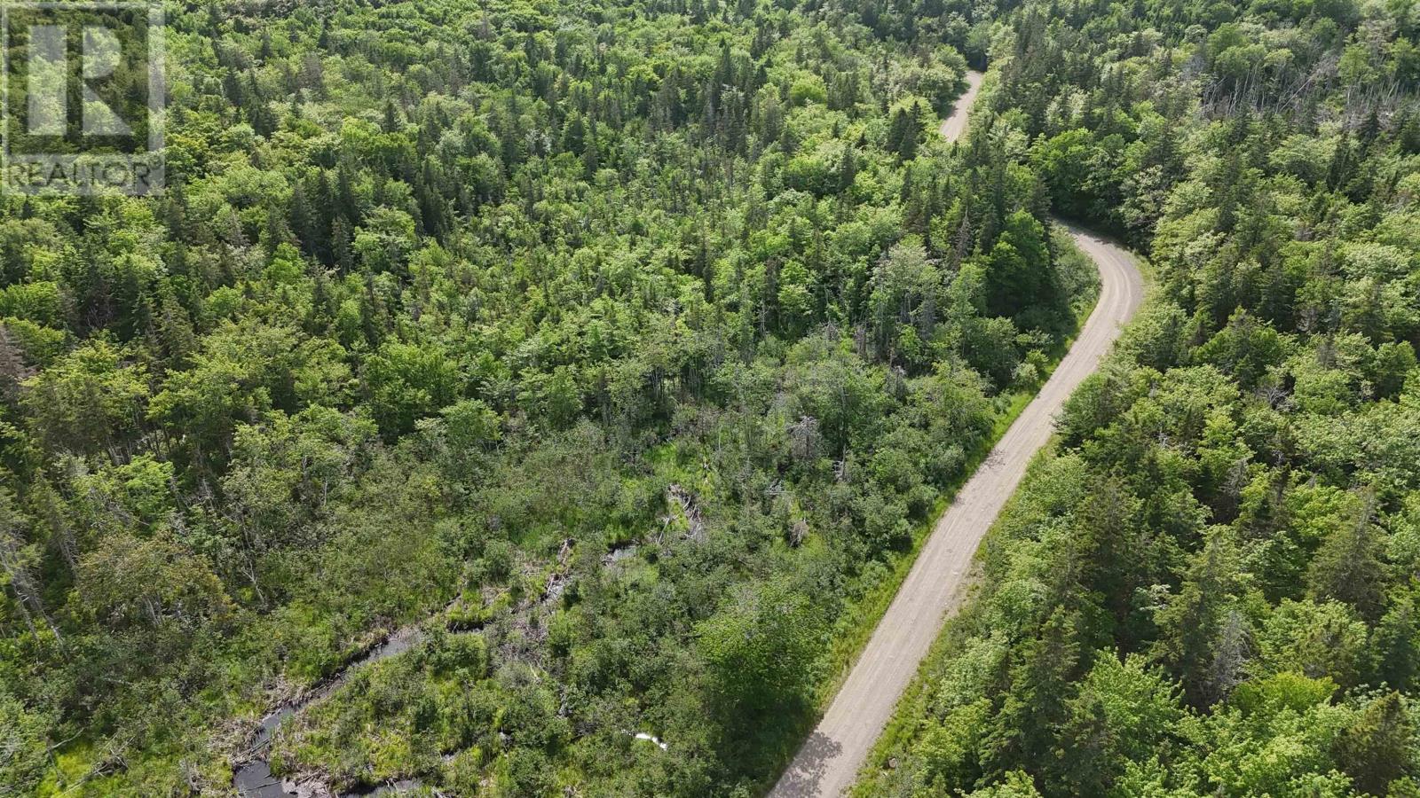 Highway 344, Mulgrave, Nova Scotia  B0E 2G0 - Photo 13 - 202525369
