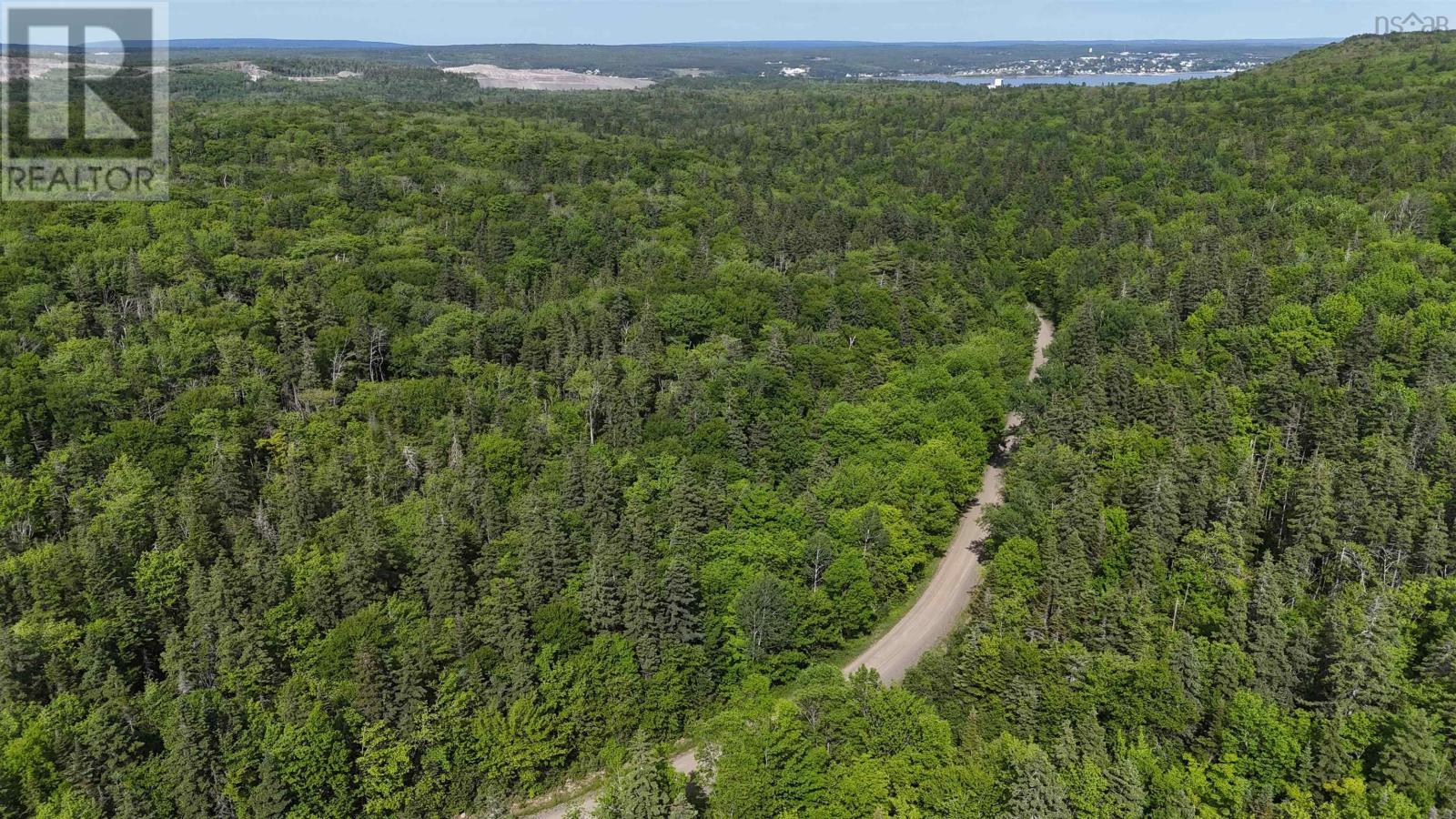 Highway 344, Mulgrave, Nova Scotia  B0E 2G0 - Photo 15 - 202525369