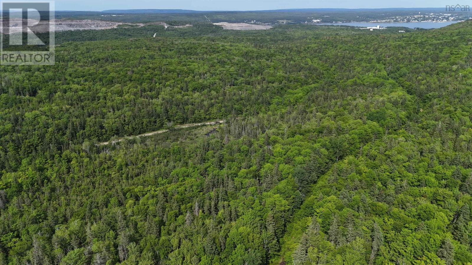 Highway 344, Mulgrave, Nova Scotia  B0E 2G0 - Photo 16 - 202525369