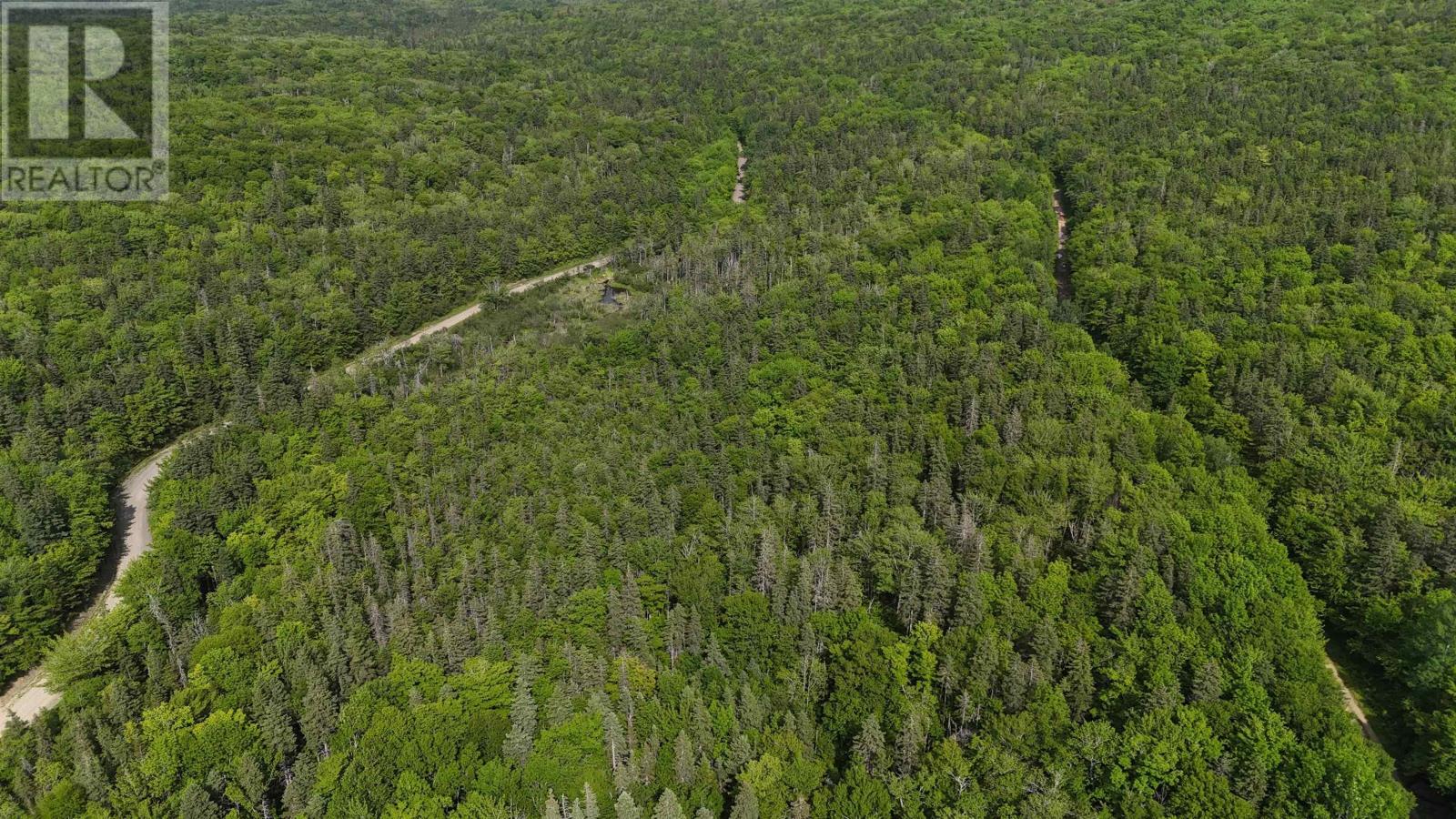 Highway 344, Mulgrave, Nova Scotia  B0E 2G0 - Photo 20 - 202525369