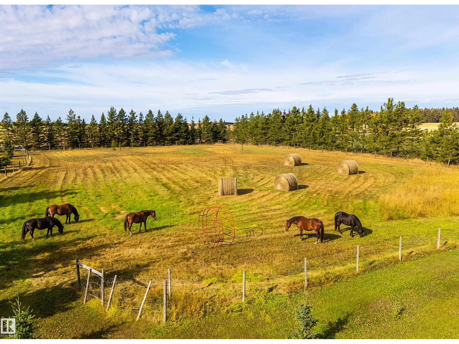 48503 Range Road 263, Rural Leduc County, Alberta  T0C 0V0 - Photo 67 - E4461278