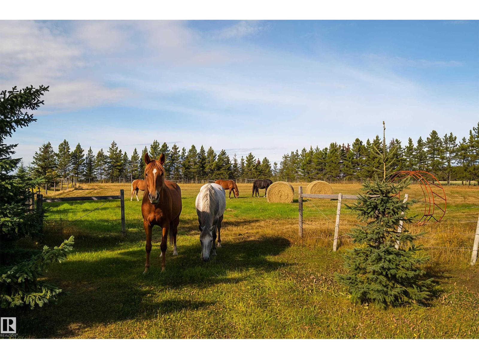 48503 Range Road 263, Rural Leduc County, Alberta  T0C 0V0 - Photo 68 - E4461278