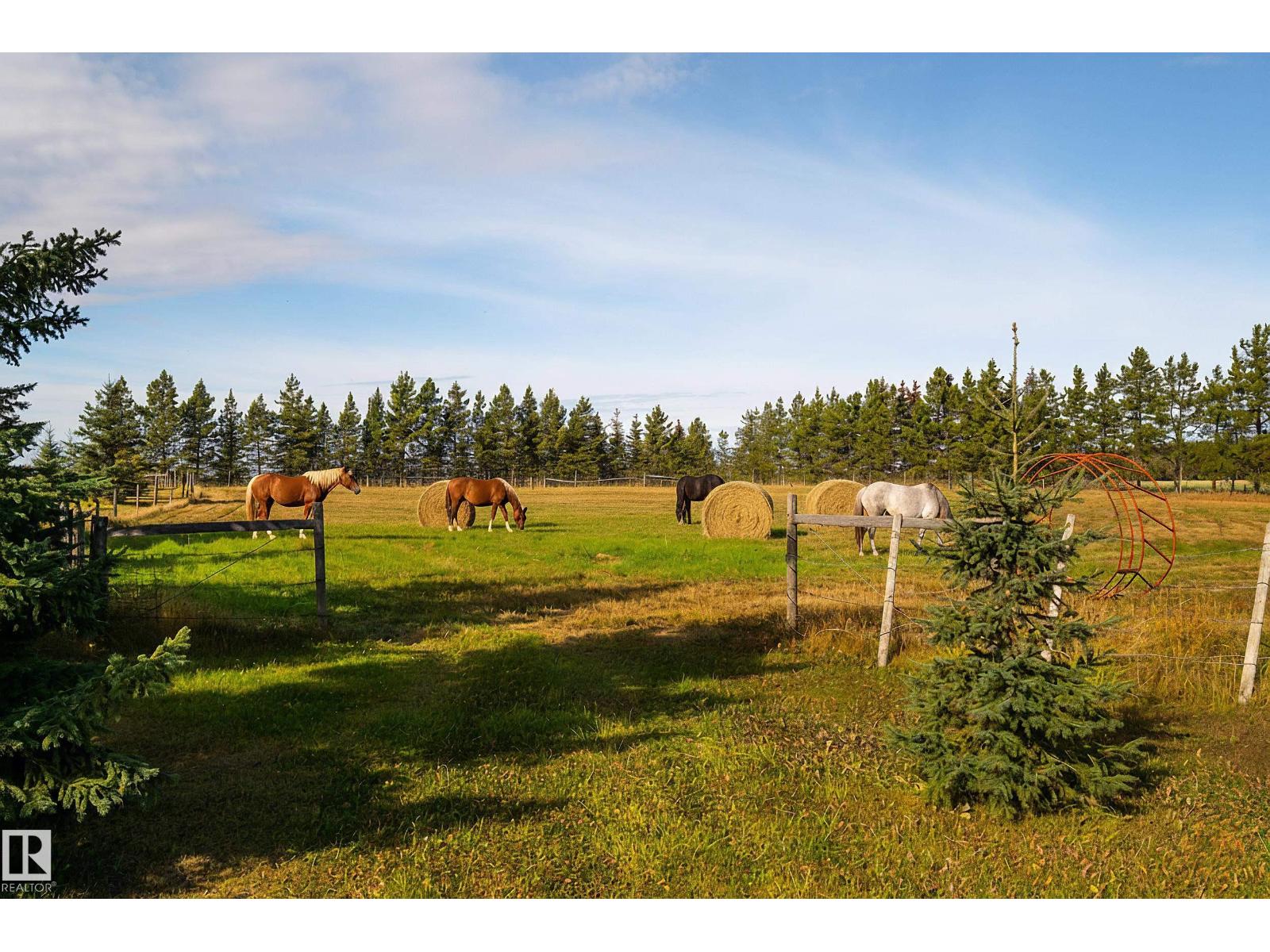 48503 Range Road 263, Rural Leduc County, Alberta  T0C 0V0 - Photo 69 - E4461278