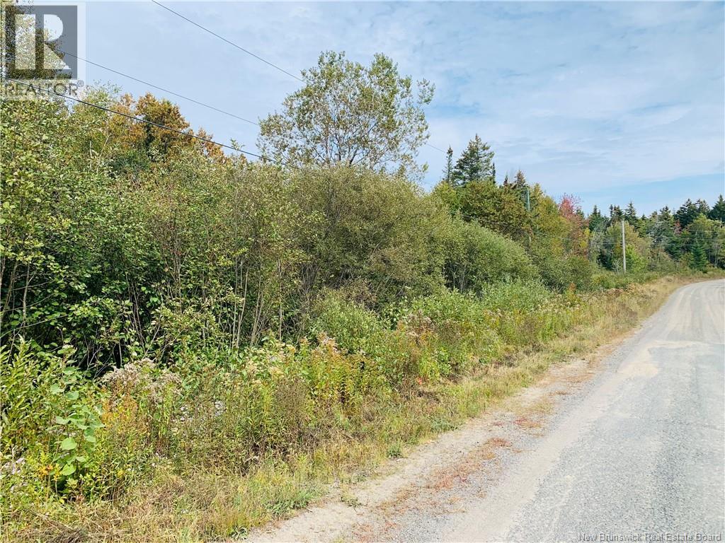 86-42 Hutchins Road, Welshpool, New Brunswick