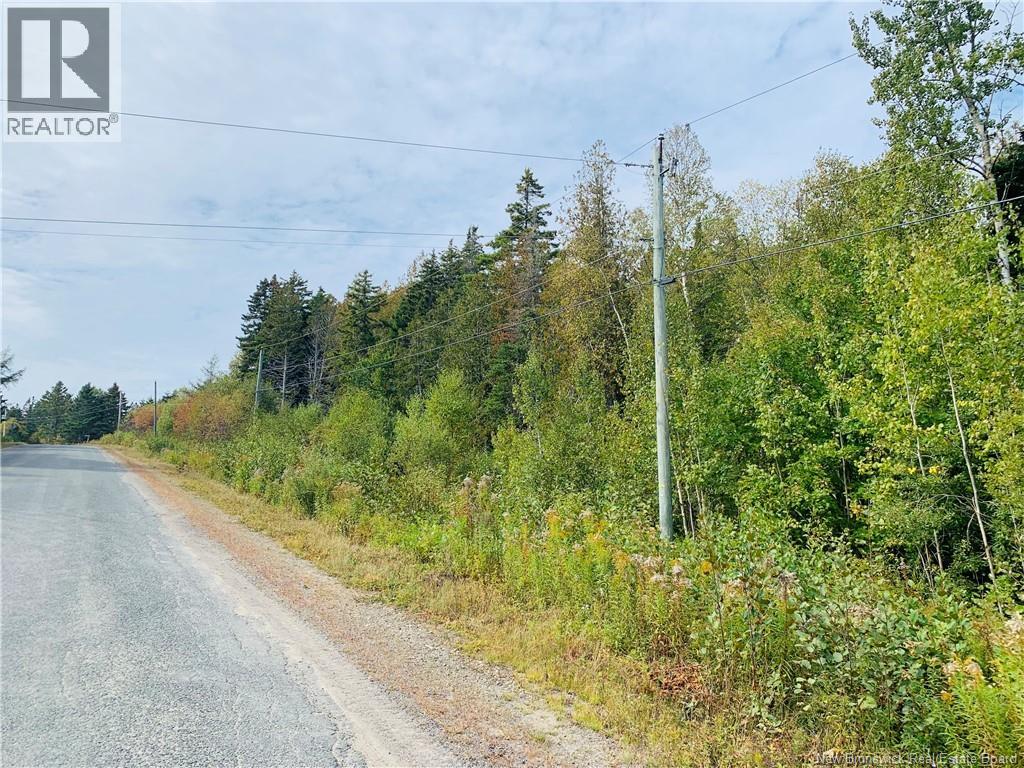 86-42 Hutchins Road, Welshpool, New Brunswick  E5E 1H1 - Photo 2 - NB128176