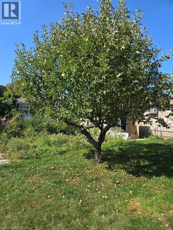139 Nugent Drive, Hamilton, Ontario  L8H 2N3 - Photo 15 - 40777282