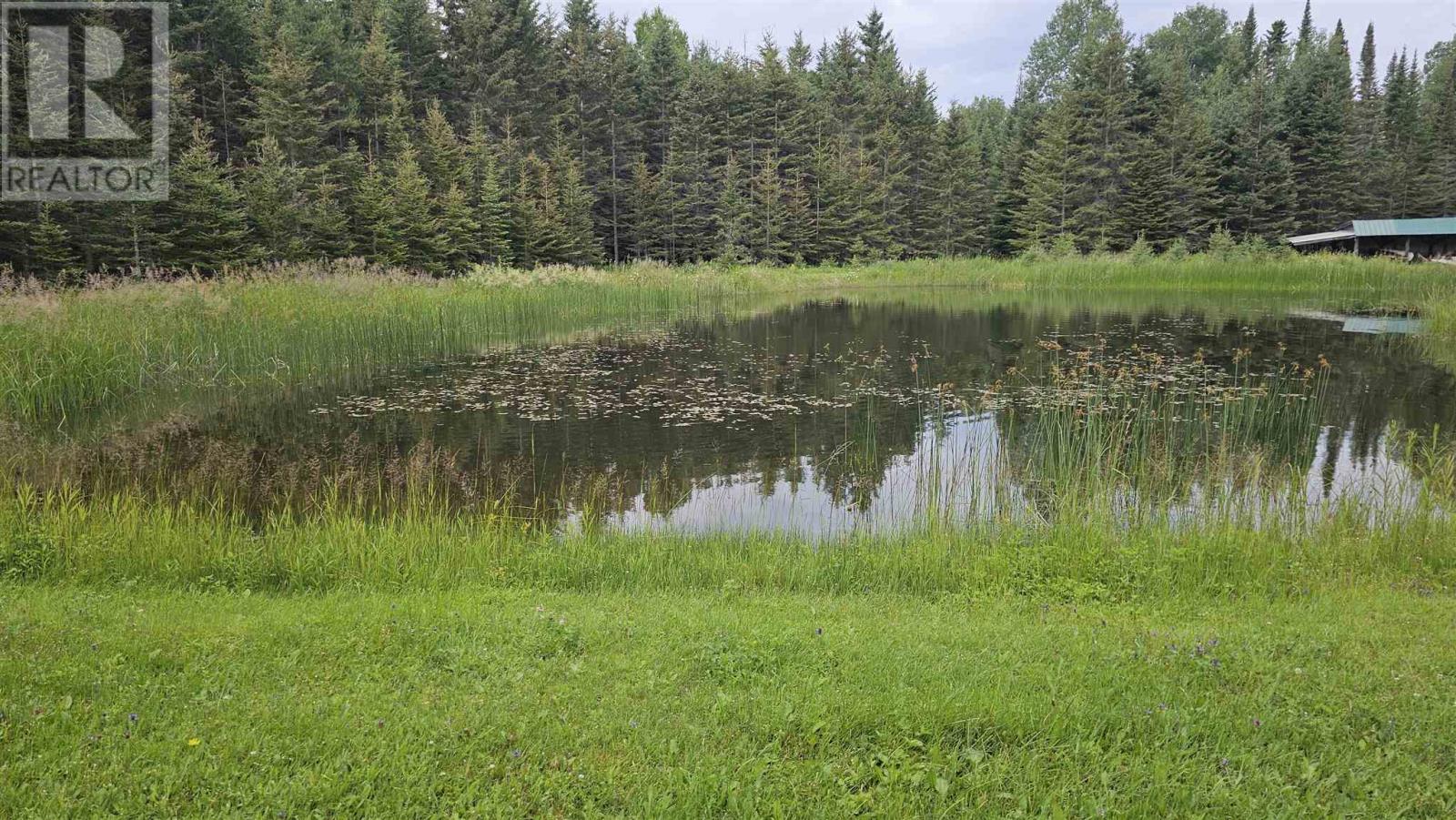 319 Fisher Rd, Thunder Bay, Ontario  P7G 2J1 - Photo 17 - TB252163
