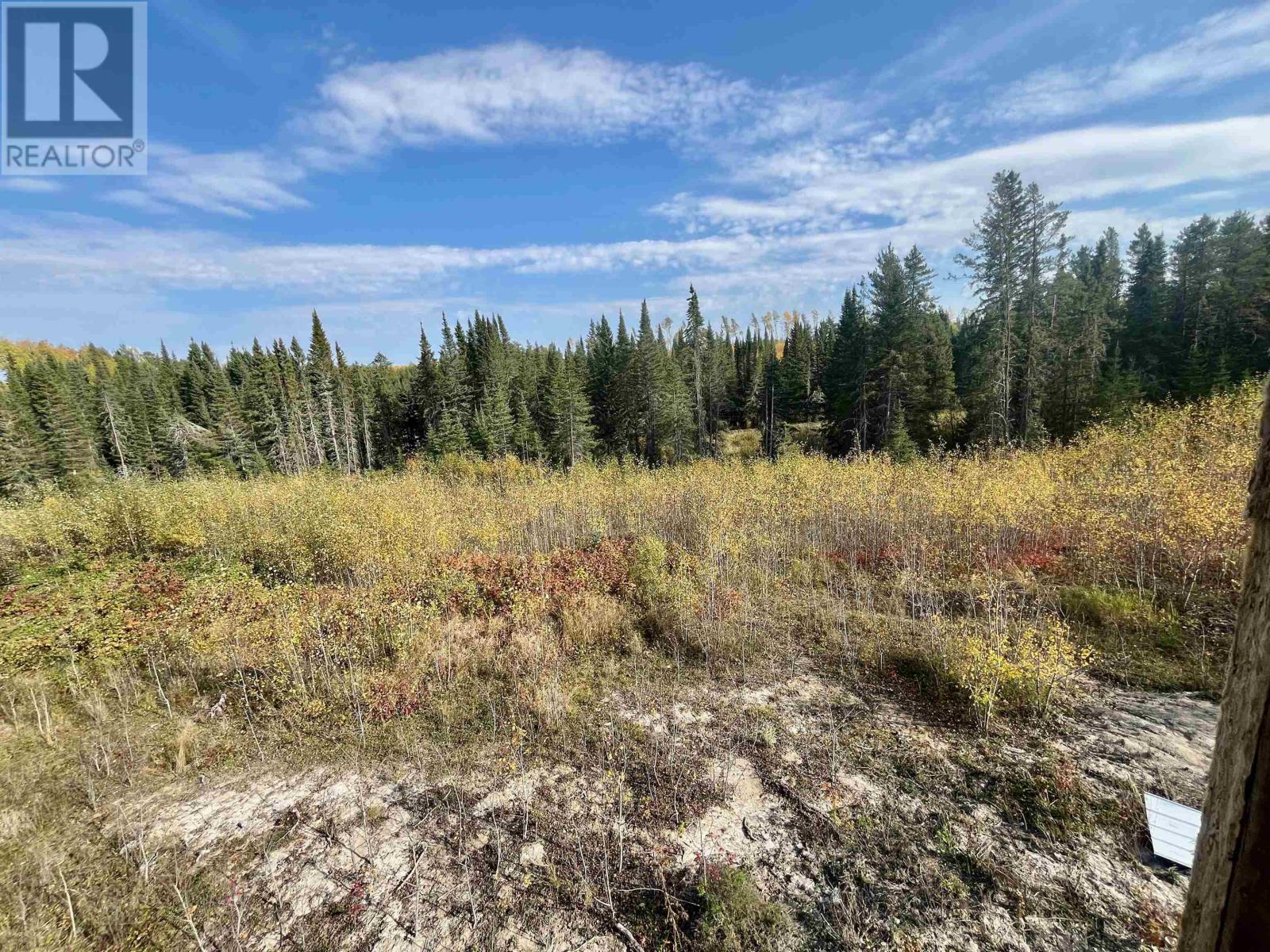 0 Mclean Lake Rd, Dryden, Ontario  P8N 3G2 - Photo 12 - TB253170