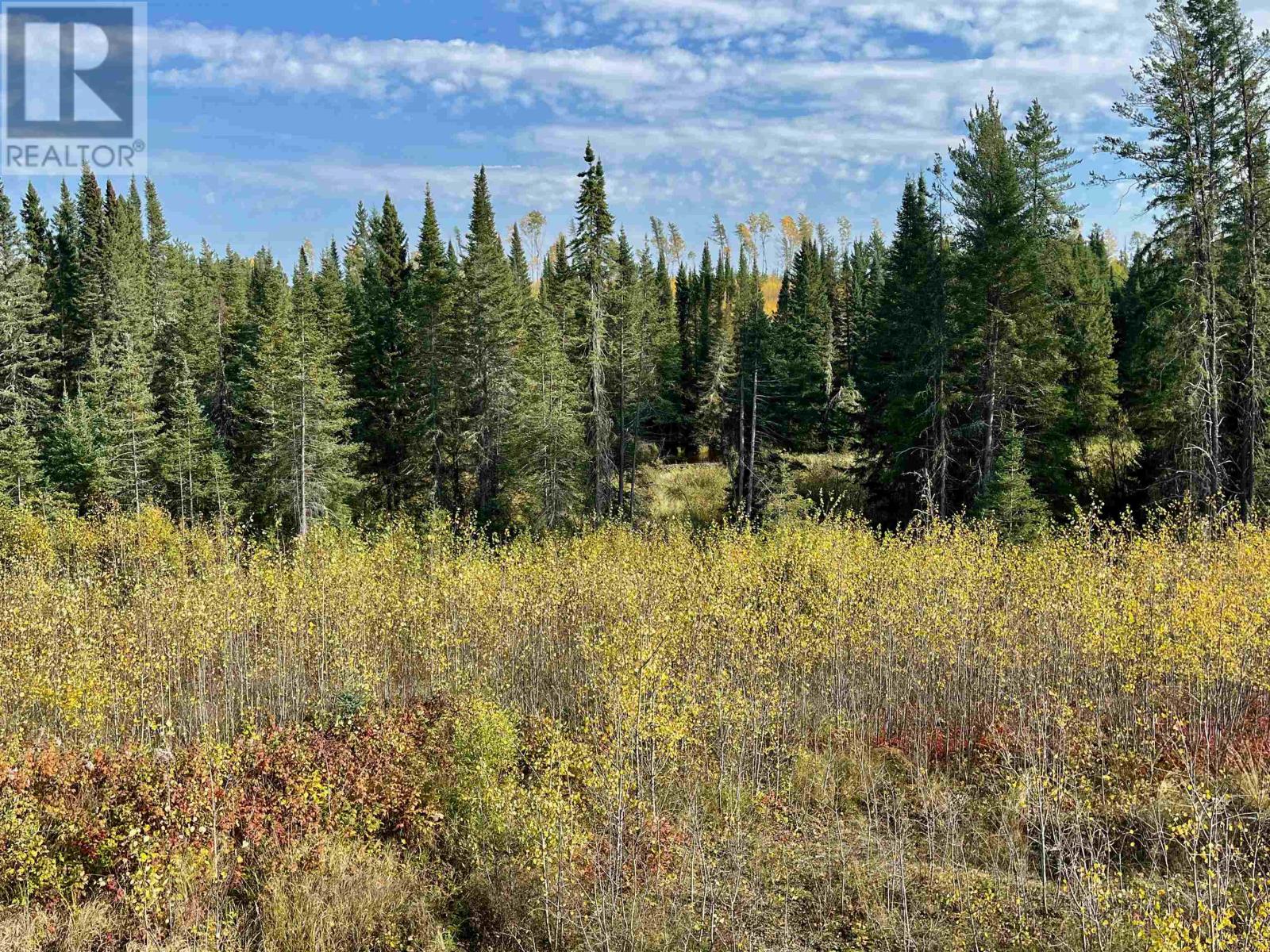 0 Mclean Lake Rd, Dryden, Ontario  P8N 3G2 - Photo 10 - TB253170