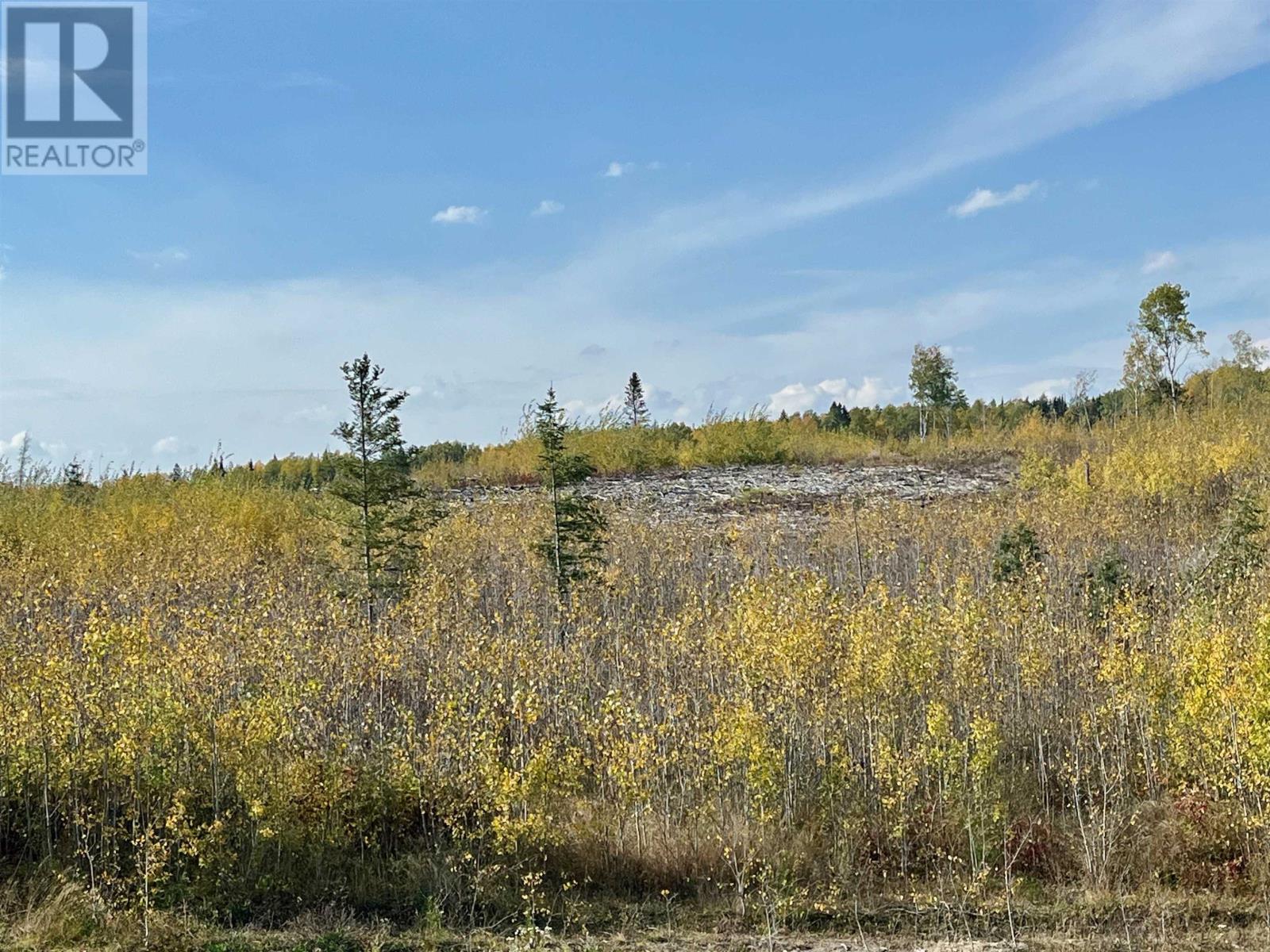 0 Mclean Lake Rd, Dryden, Ontario  P8N 3G2 - Photo 15 - TB253170