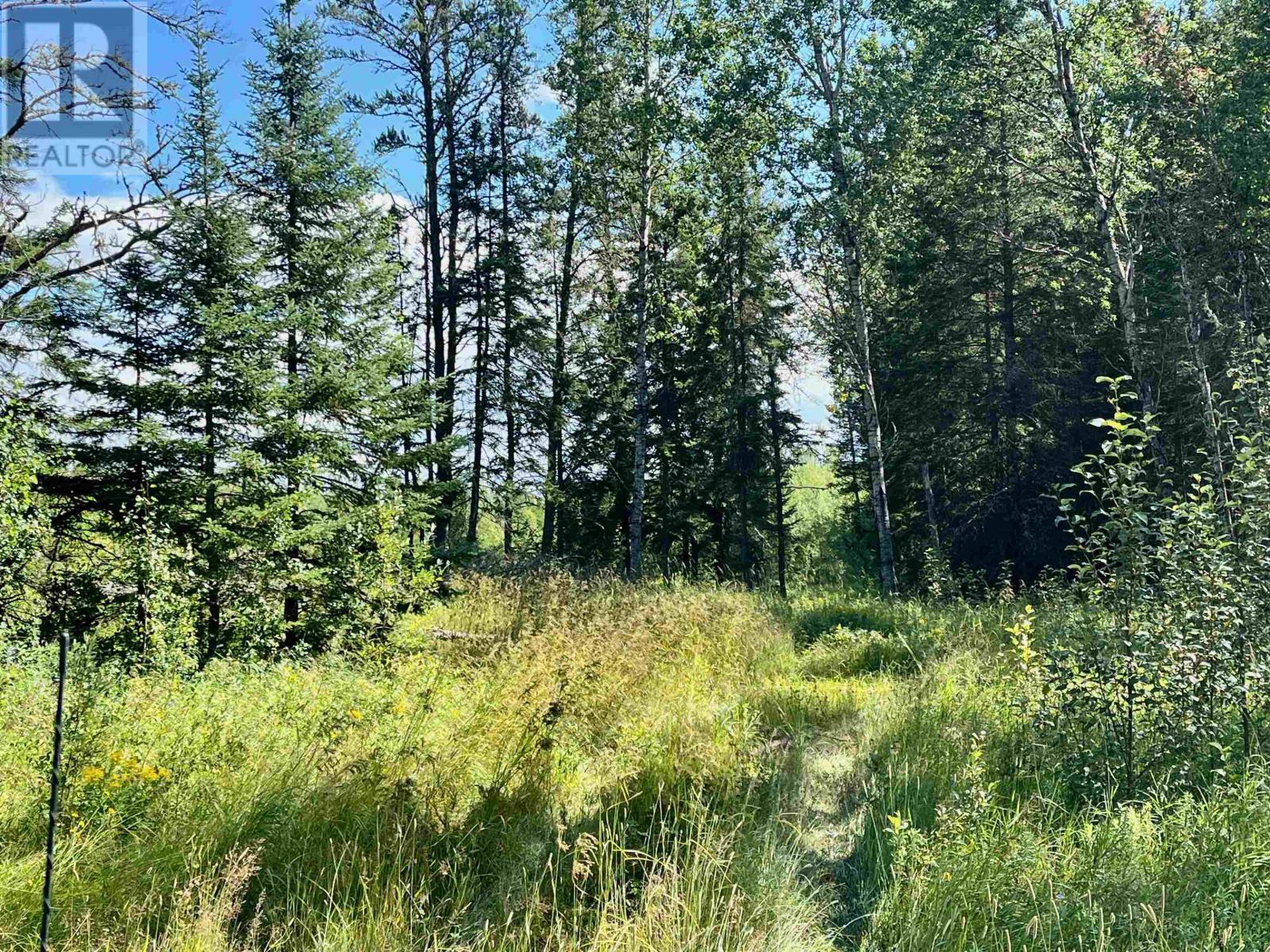 0 Mclean Lake Rd, Dryden, Ontario  P8N 3G2 - Photo 24 - TB253170