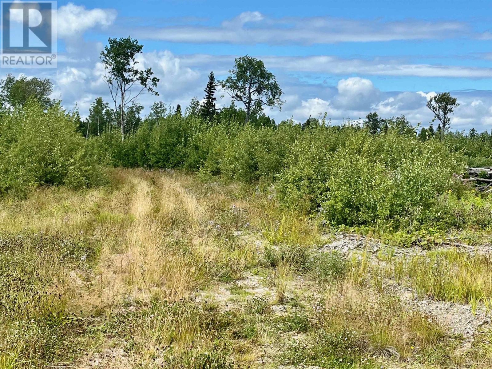0 Mclean Lake Rd, Dryden, Ontario  P8N 3G2 - Photo 20 - TB253170