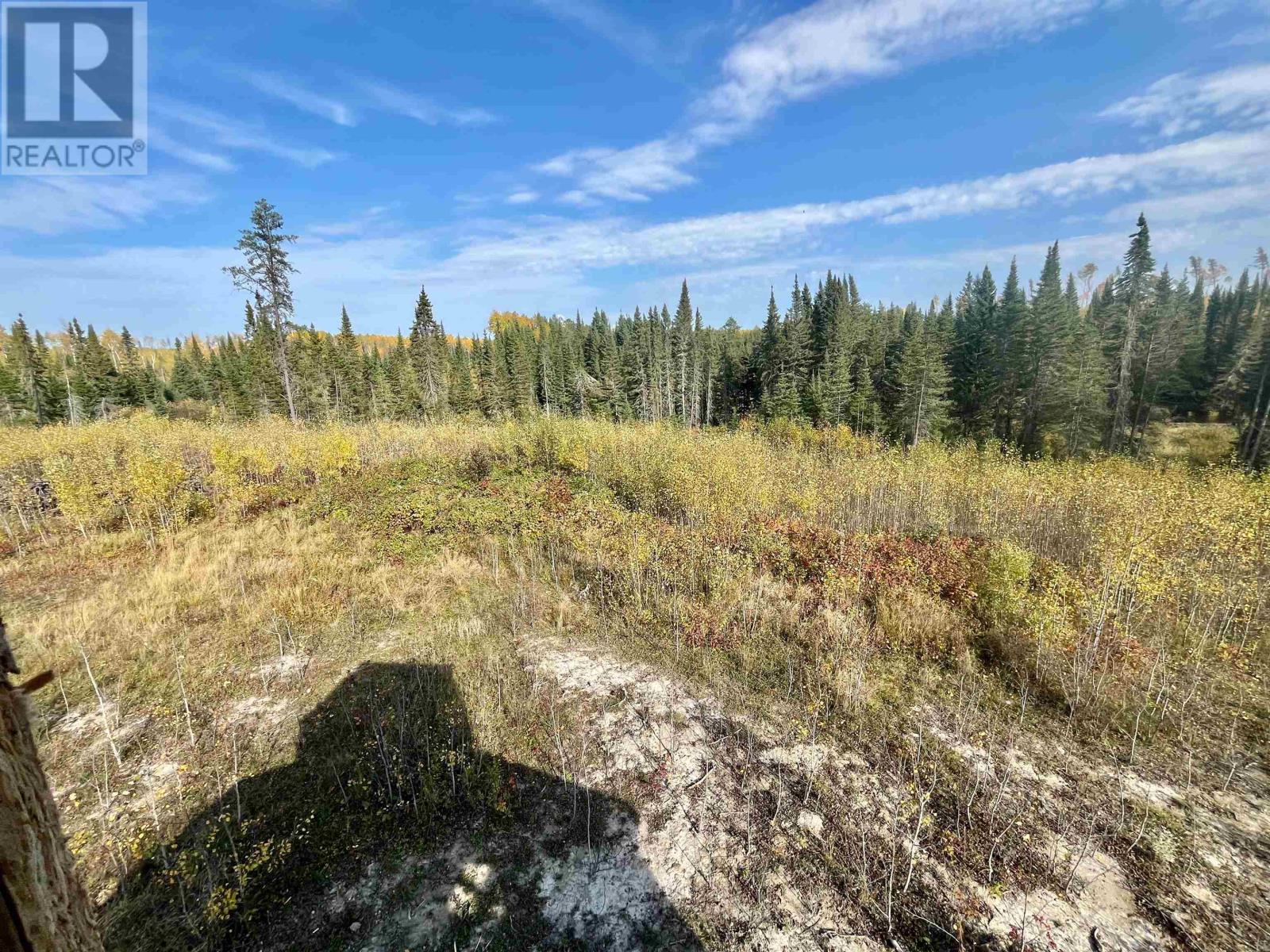 0 Mclean Lake Rd, Dryden, Ontario  P8N 3G2 - Photo 11 - TB253170