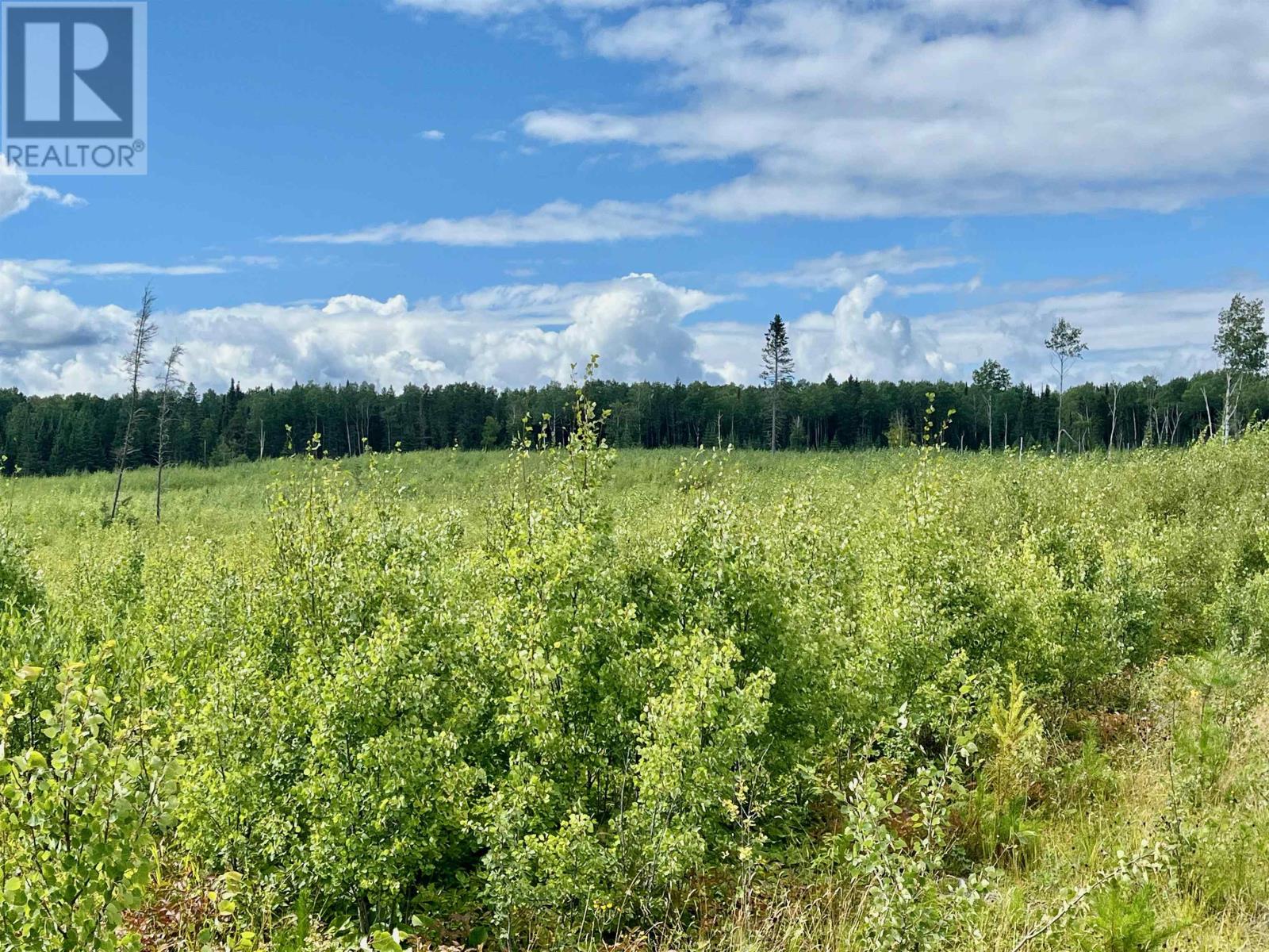 0 Mclean Lake Rd, Dryden, Ontario  P8N 3G2 - Photo 22 - TB253170