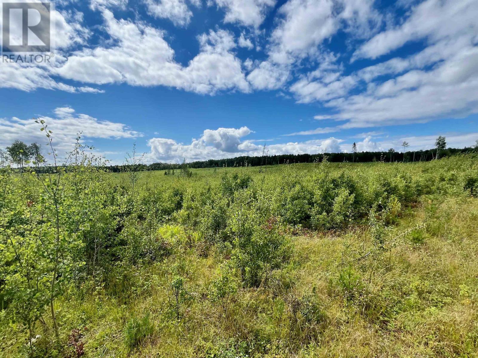 0 Mclean Lake Rd, Dryden, Ontario  P8N 3G2 - Photo 21 - TB253170