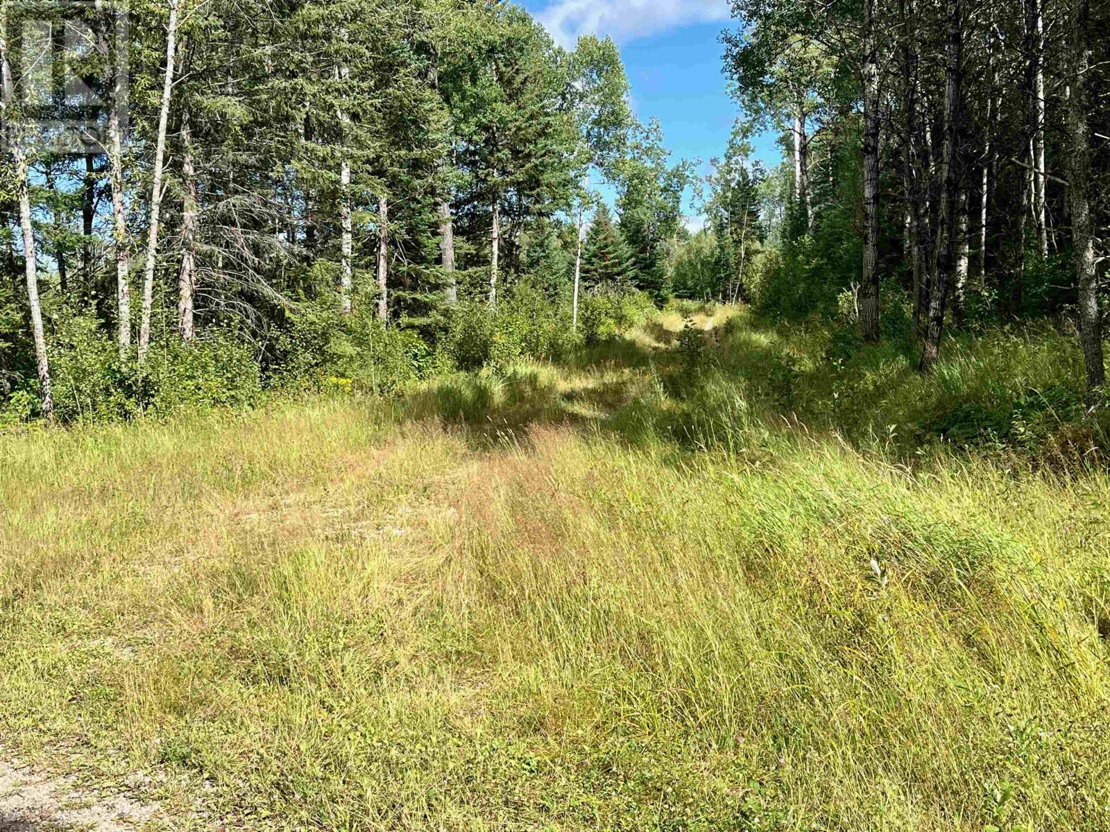 0 Mclean Lake Rd, Dryden, Ontario  P8N 3G2 - Photo 26 - TB253170