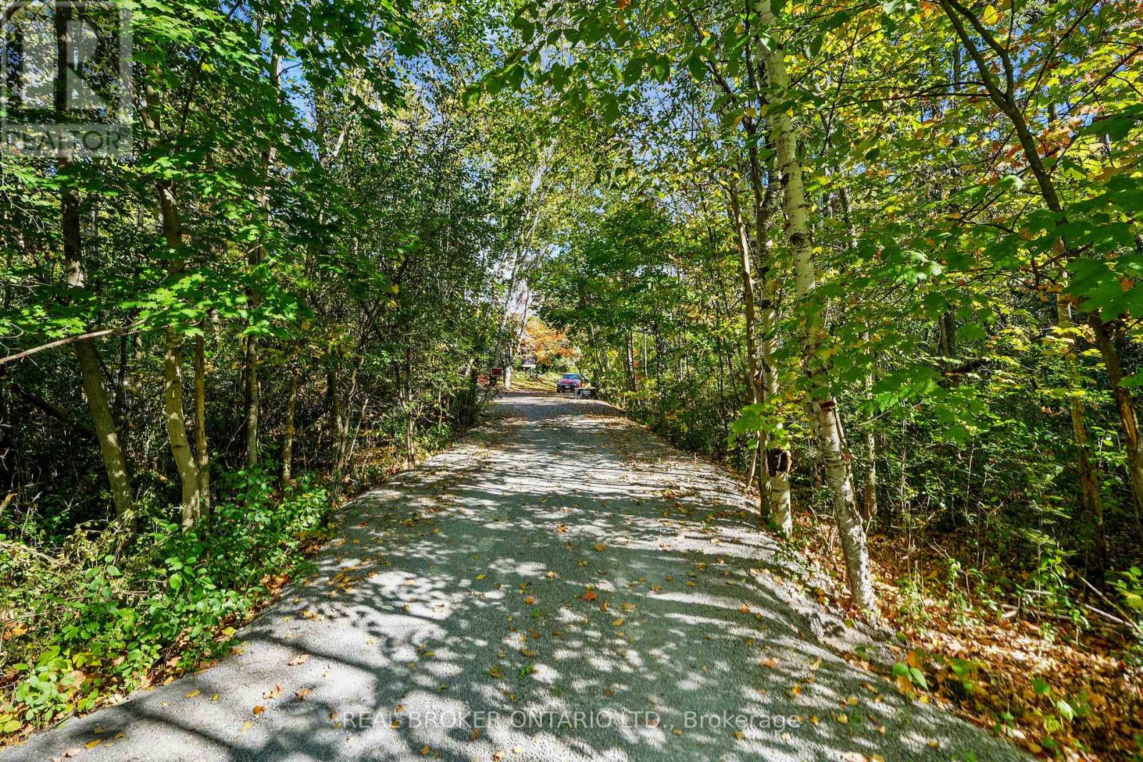 203 Bullis Road, Brighton, Ontario  K0K 1H0 - Photo 47 - X12451180