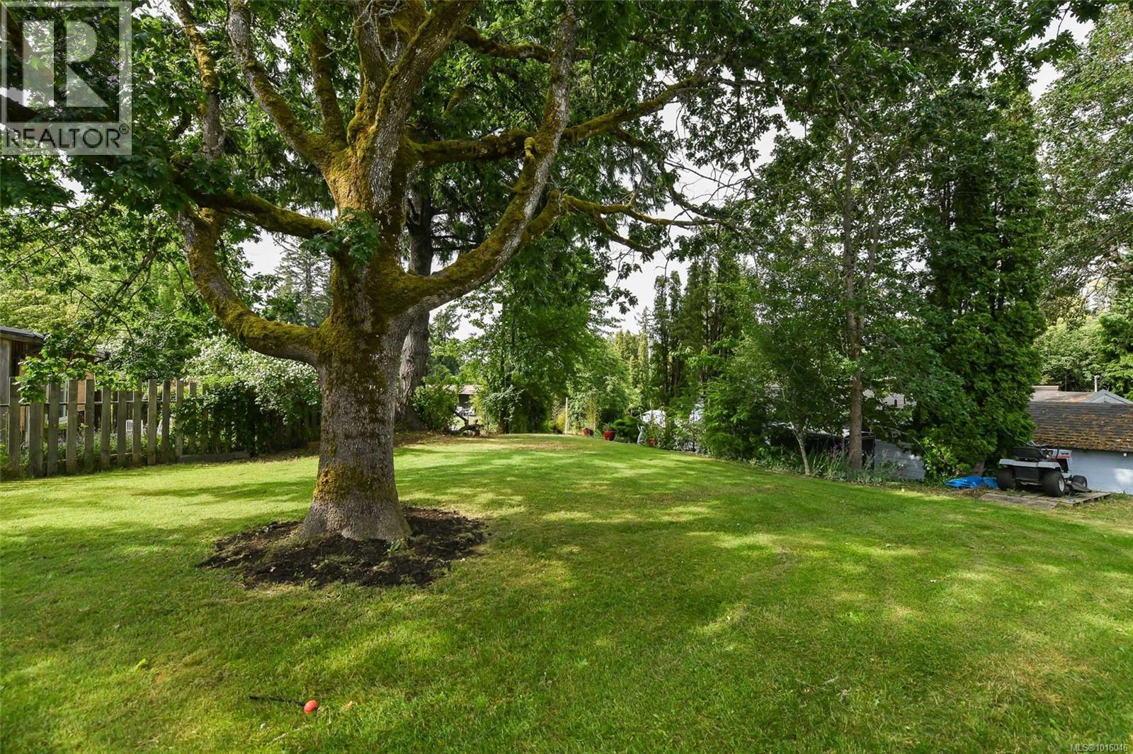 4740 Island Hwy N, Courtenay, British Columbia  V9N 5Y7 - Photo 35 - 1016046