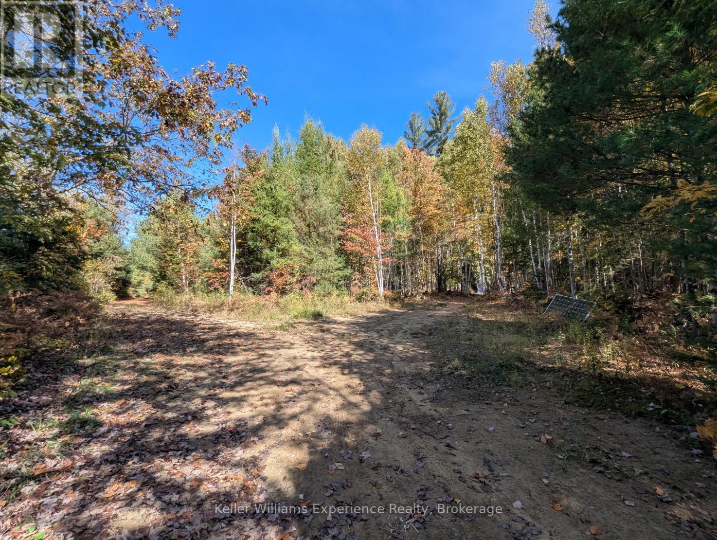 0 Langford Road, Lake Of Bays, Ontario  P0B 1A0 - Photo 7 - X12451423