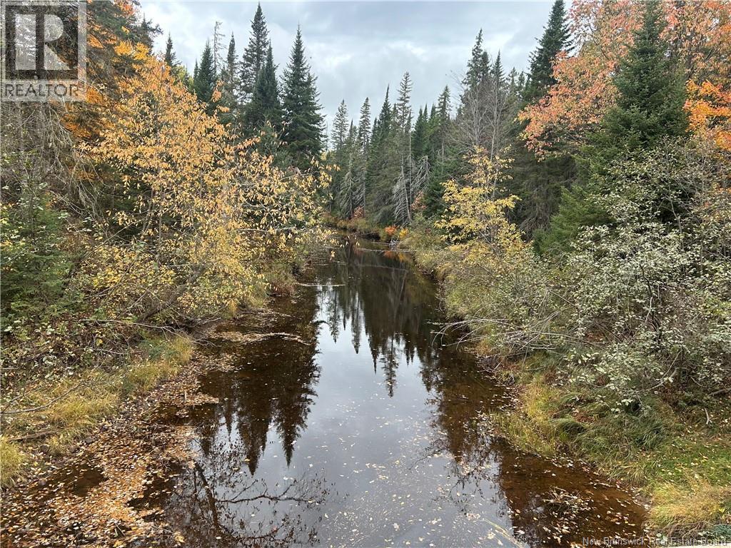 Buckley Road, Harewood, New Brunswick  E4Z 4A2 - Photo 2 - NB128170