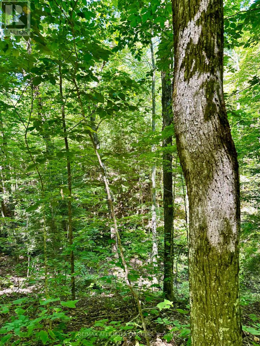 00 Steiger Road, Frontenac, Ontario  K0H 1B0 - Photo 5 - X12364651