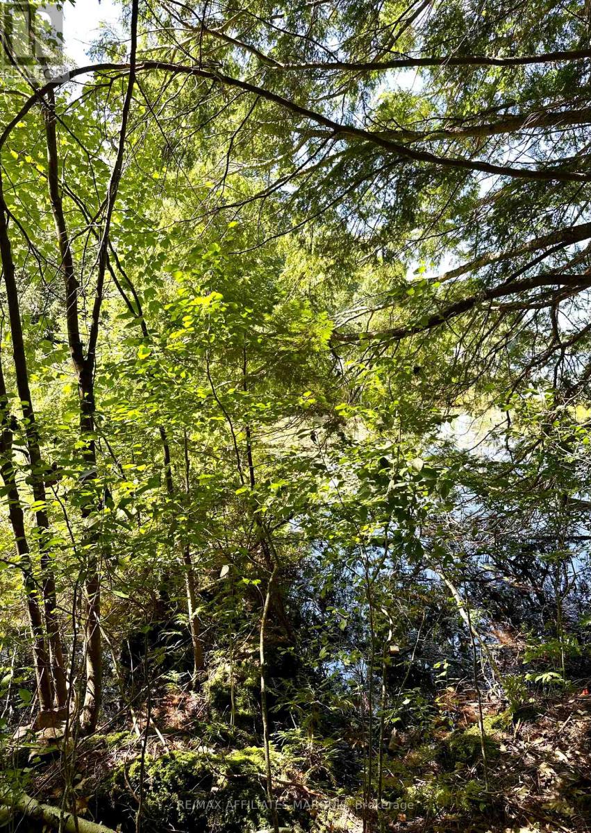 00 Steiger Road, Frontenac, Ontario  K0H 1B0 - Photo 3 - X12364651