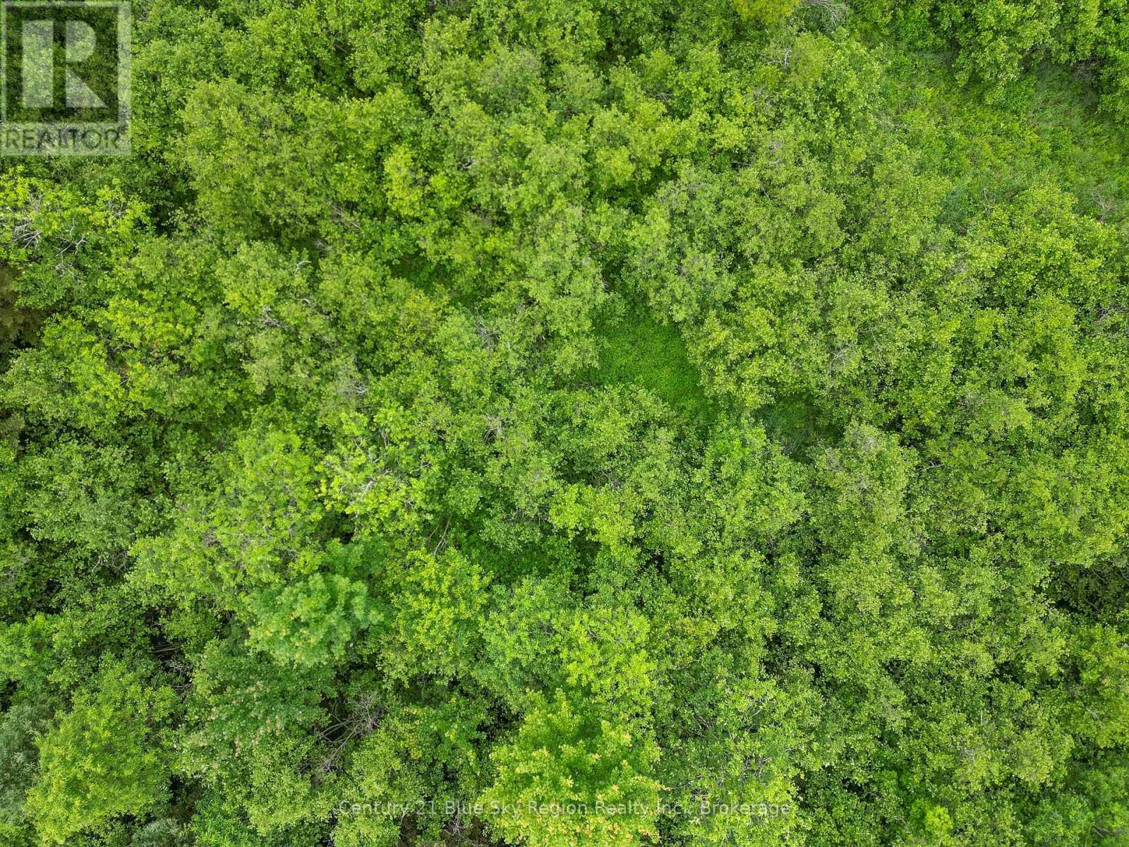 364 Trunk Road, Bonfield, Ontario  P0H 1E0 - Photo 6 - X12270022