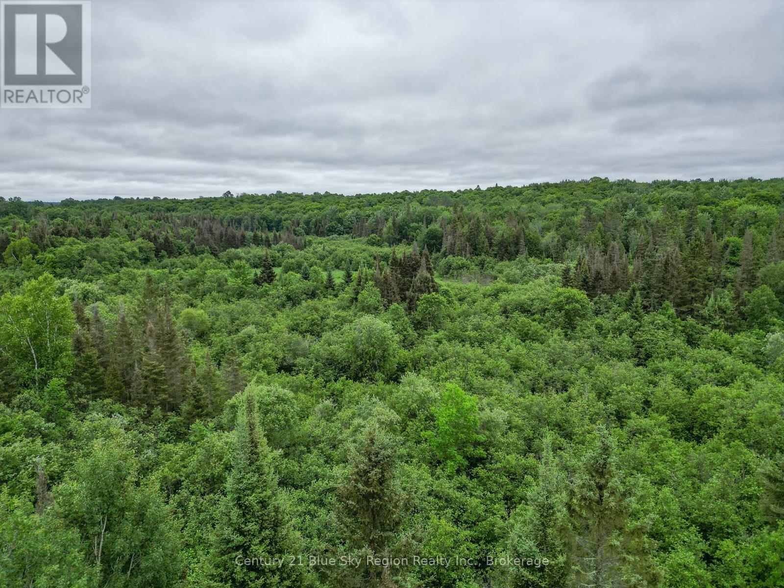 364 Trunk Road, Bonfield, Ontario  P0H 1E0 - Photo 9 - X12270022