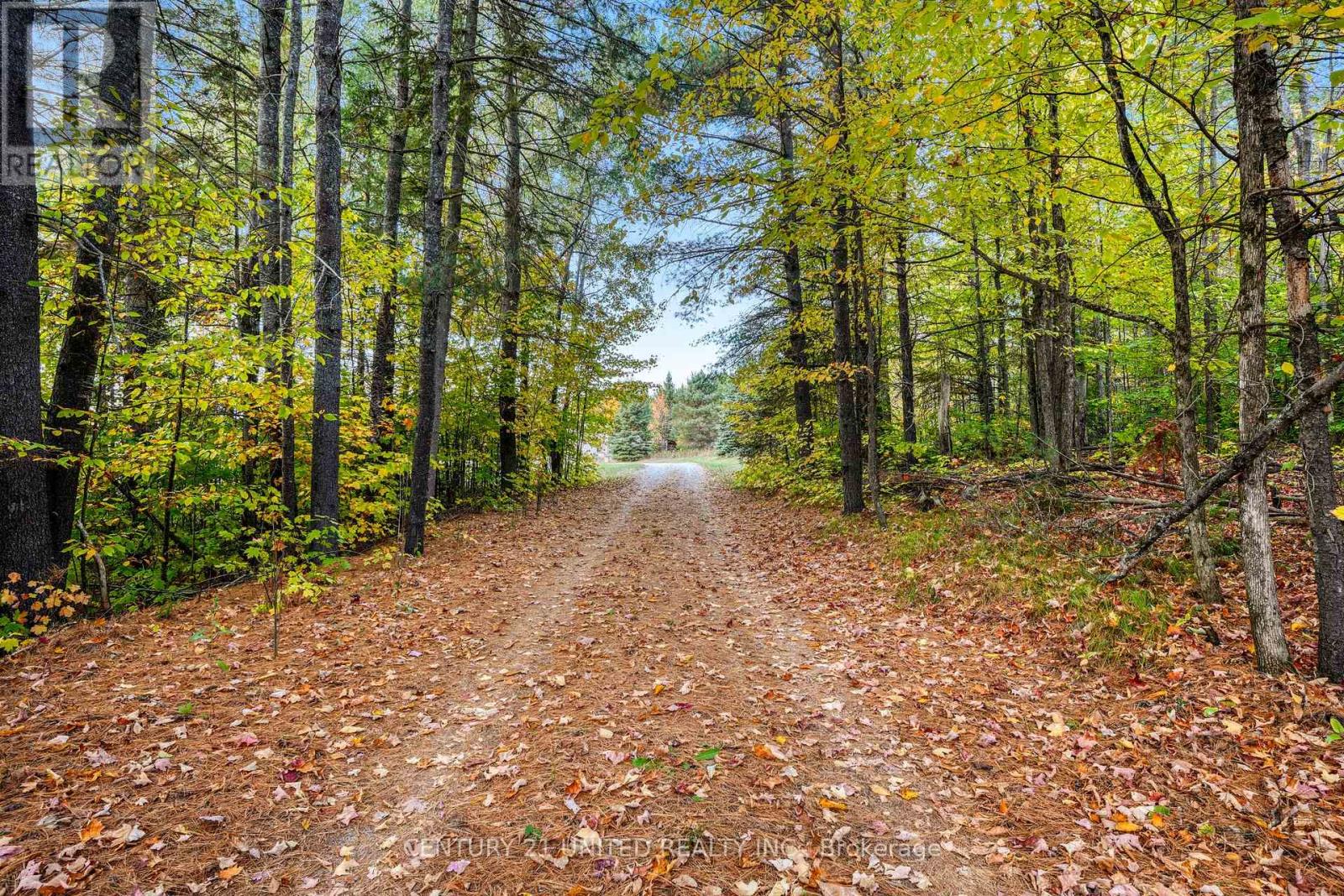 31 Mclean Road, Hastings Highlands, Ontario  K0L 2R0 - Photo 2 - X12451624