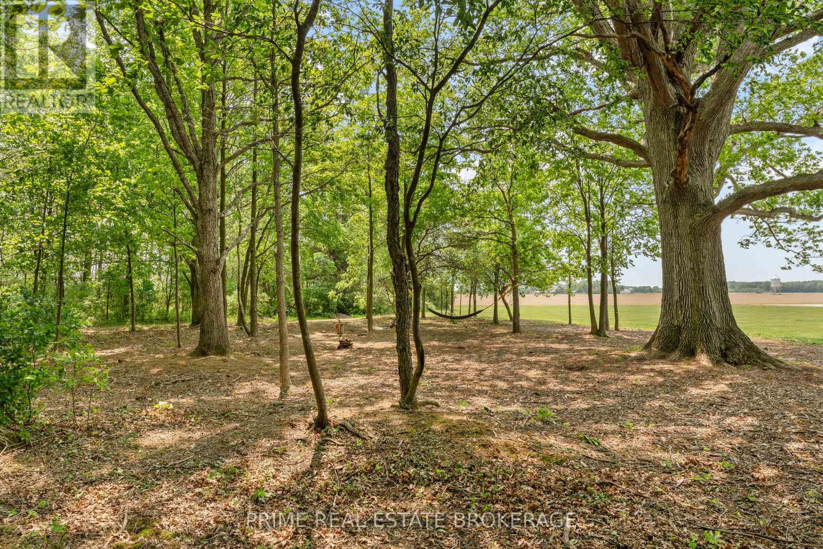 818 Oil Heritage Road, Chatham-Kent, Ontario  N0P 1M0 - Photo 31 - X12451692