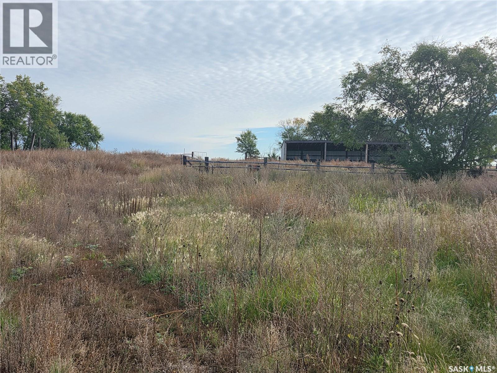 Turner Ranch, Benson Rm No. 35, Saskatchewan  S4A 2A2 - Photo 44 - SK020303